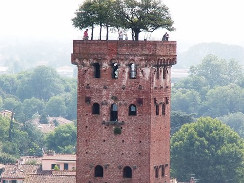 la Torre di Guinigi di Lucca